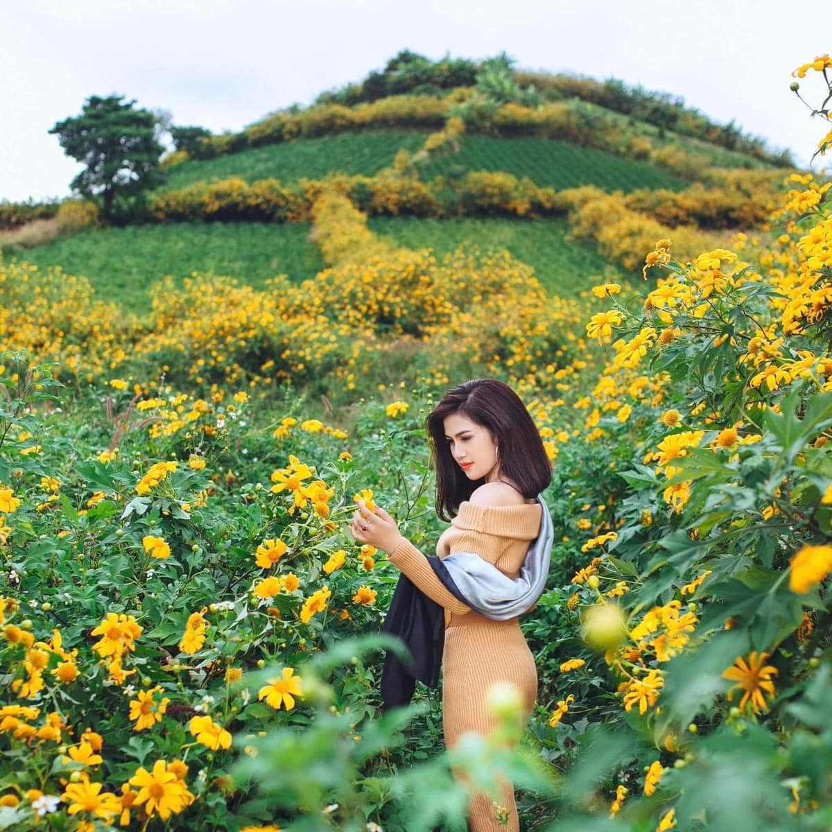Ảnh đẹp check in