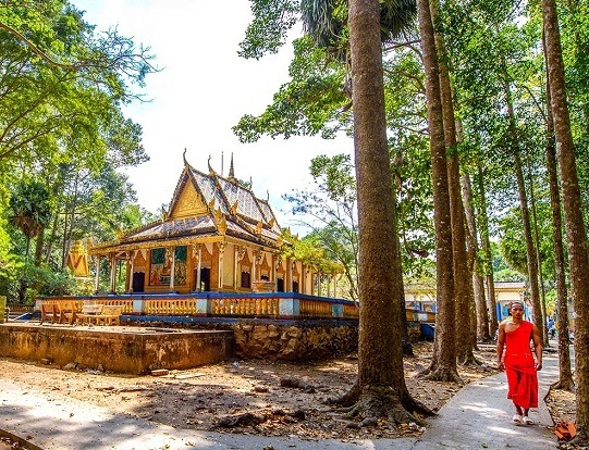 Tổng quan