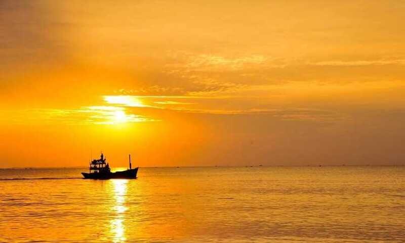 Tổng quan