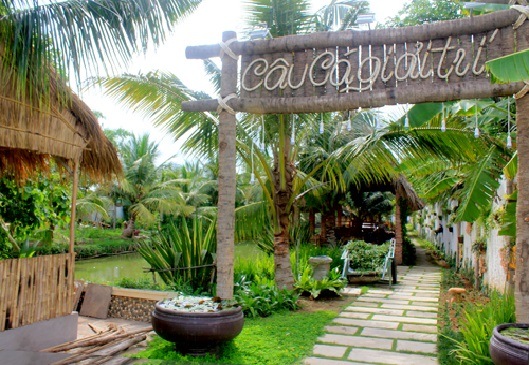 Tổng quan