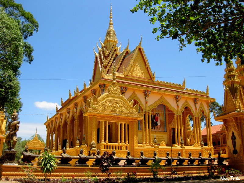 Tổng quan