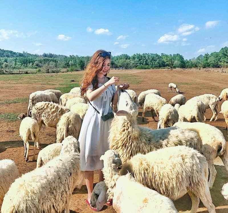 Ảnh đẹp check in