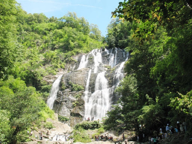 Tổng quan