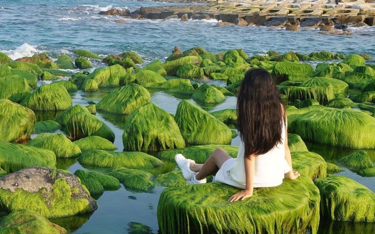 Ảnh đẹp check in