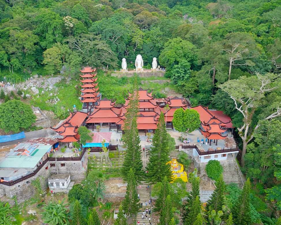 Tổng quan