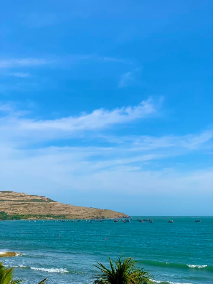Tổng quan