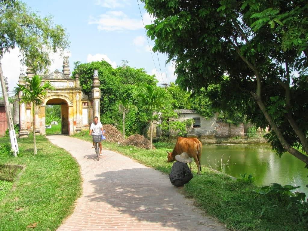 Tổng quan