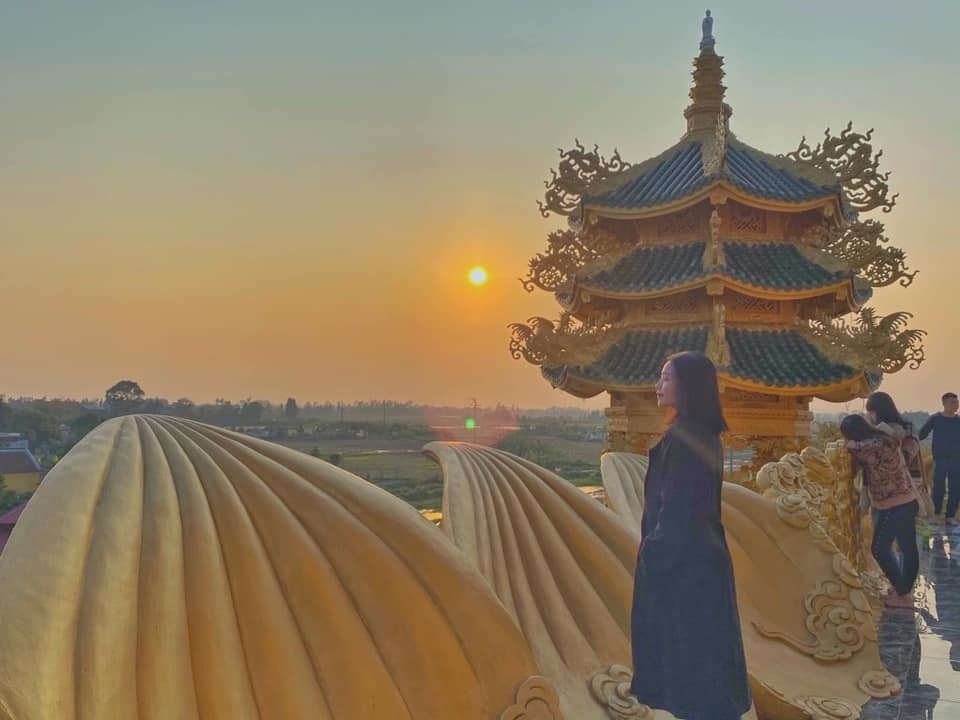 Tổng quan