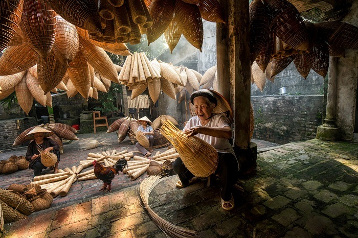Tổng quan