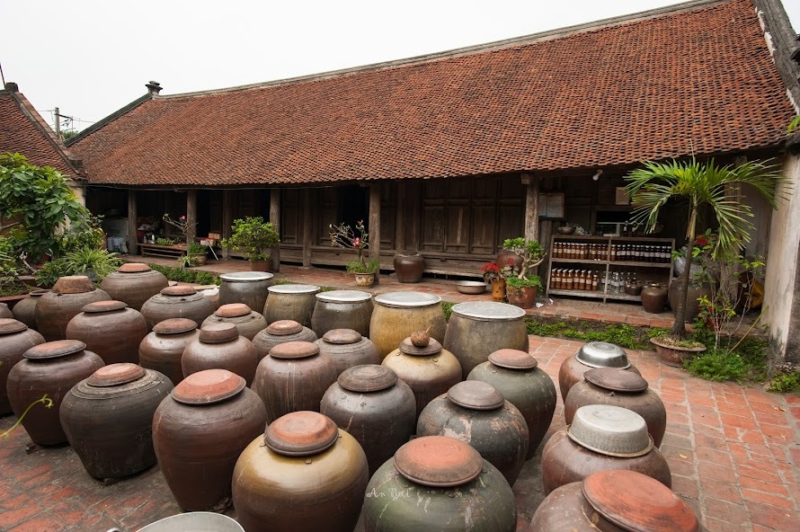 Tổng quan