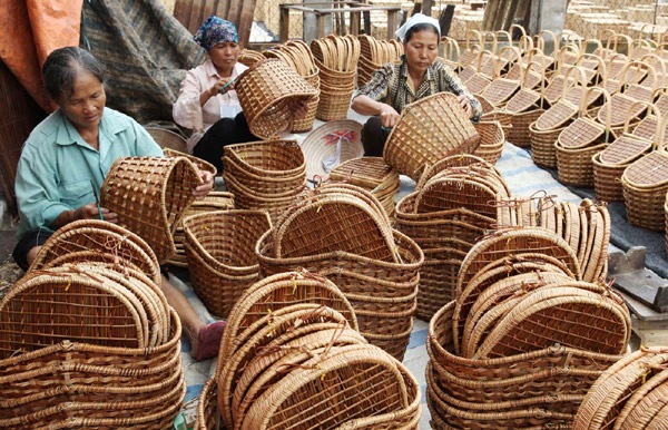 Tổng quan