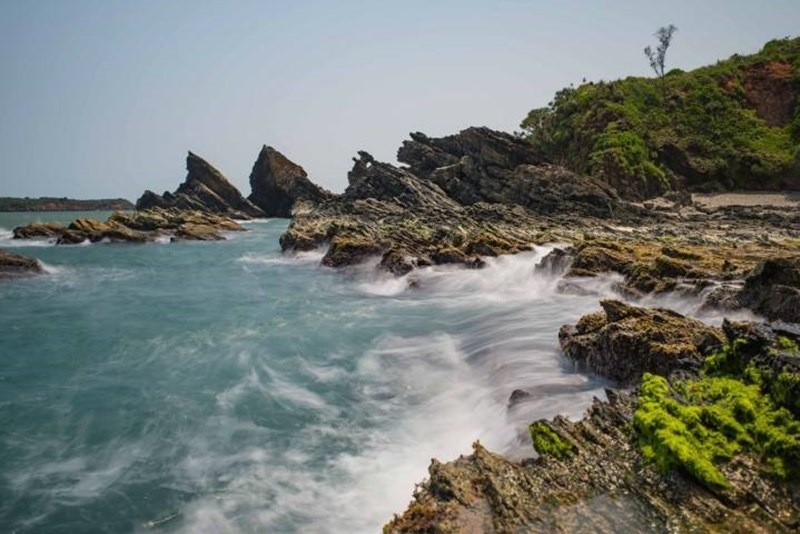 Tổng quan
