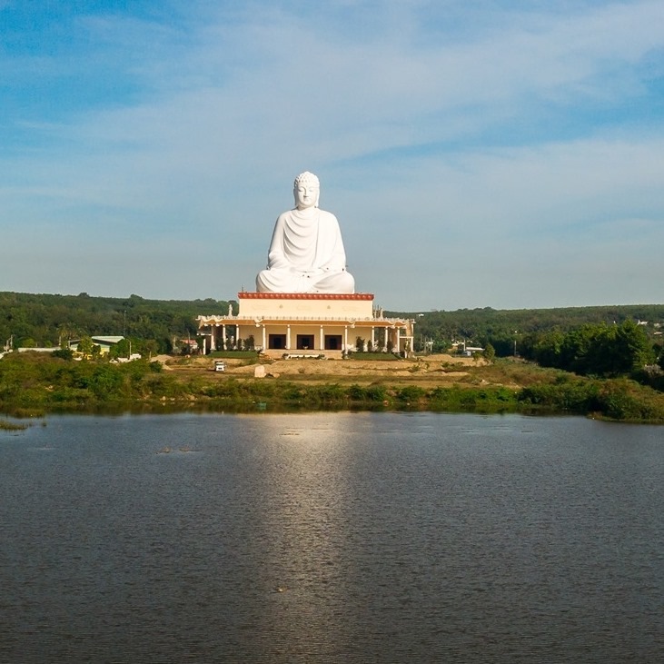 Tổng quan
