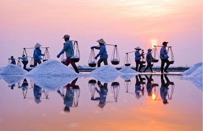 Tổng quan