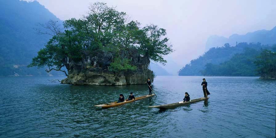 Tổng quan