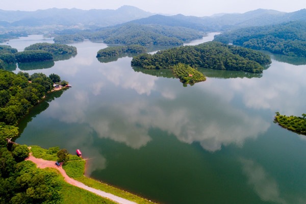 Tổng quan
