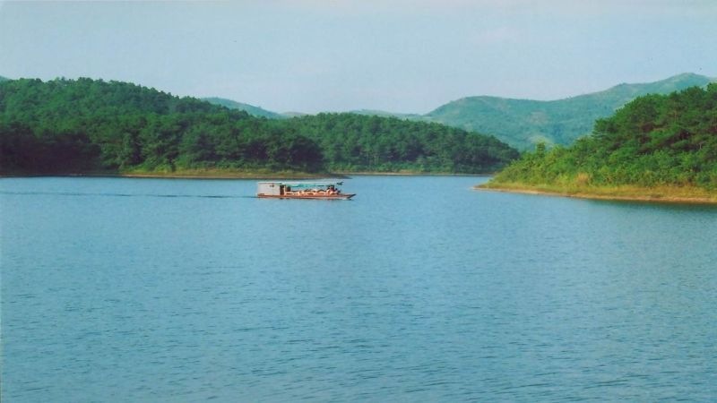 Tổng quan