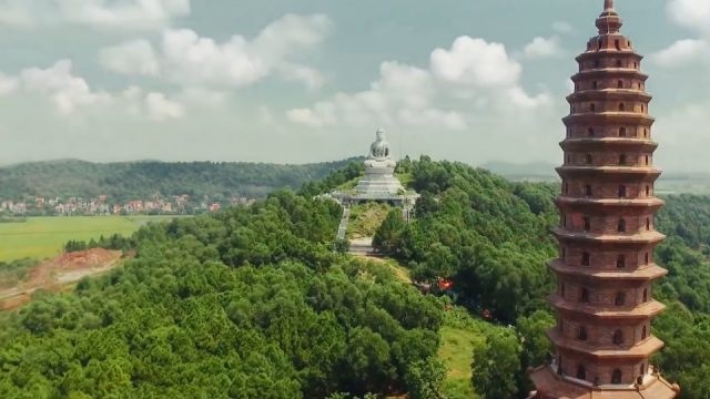 Tổng quan