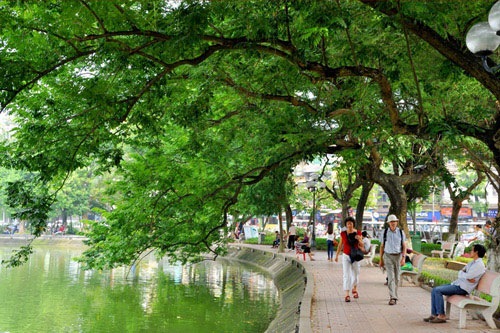 Tổng quan