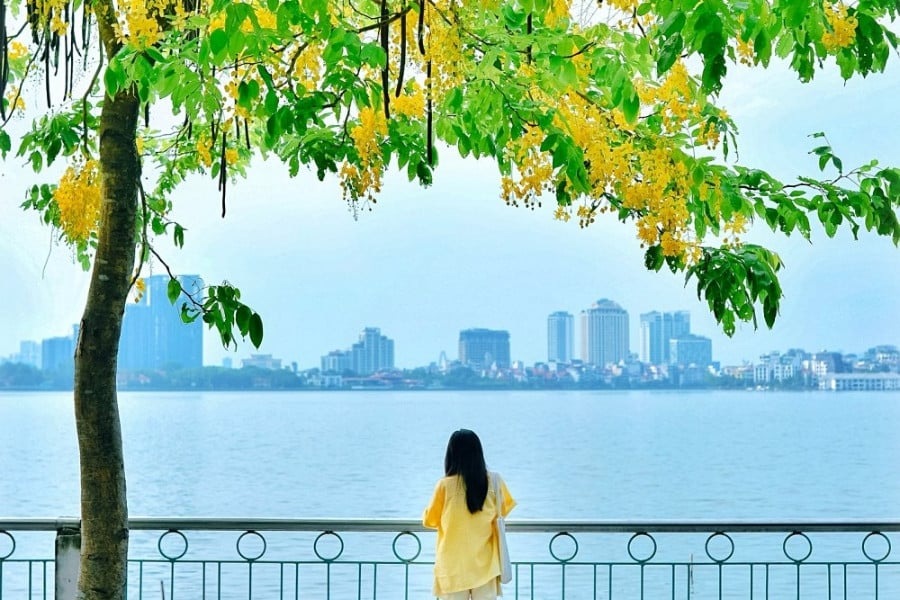 Tổng quan