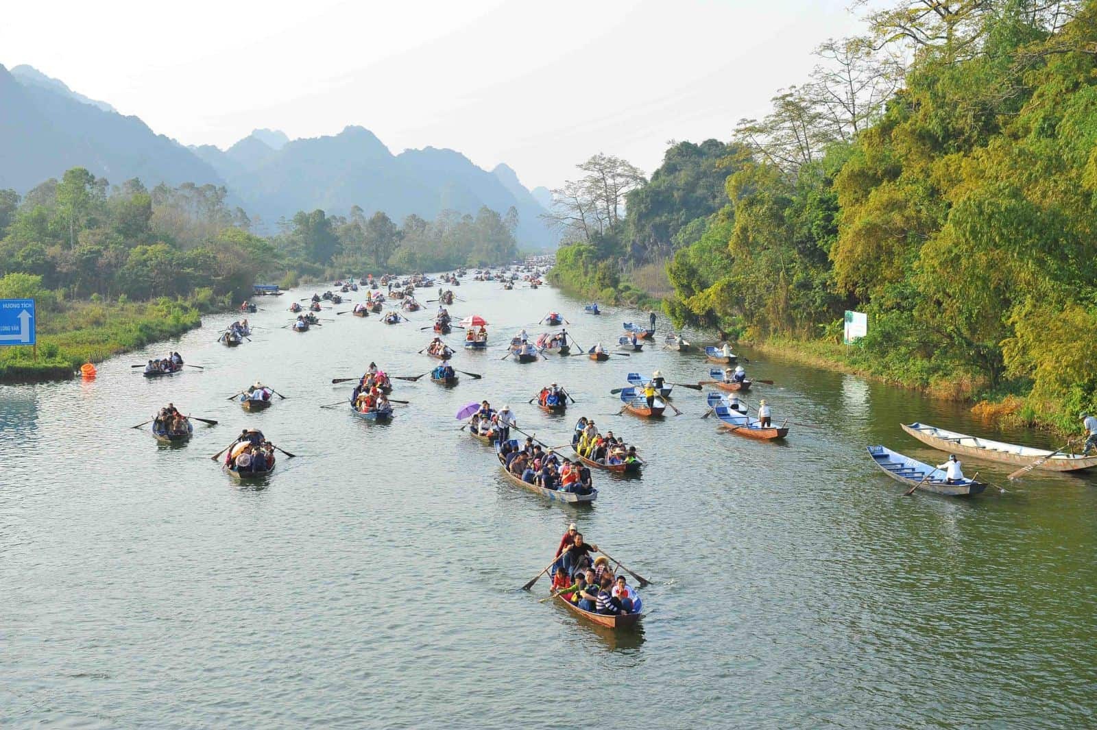 Tổng quan