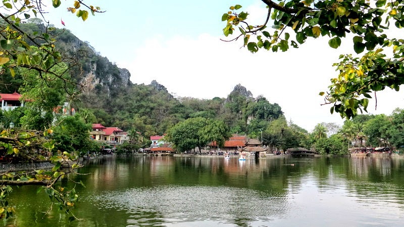 Tổng quan