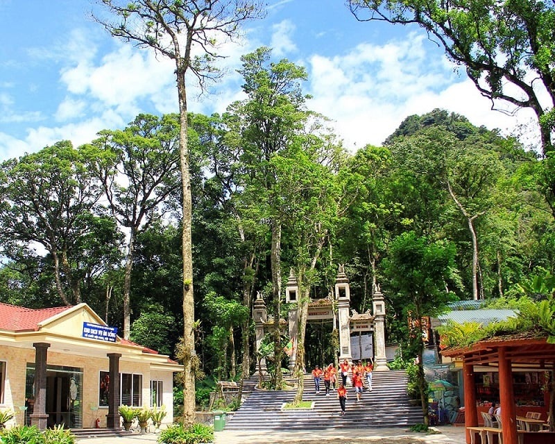 Tổng quan