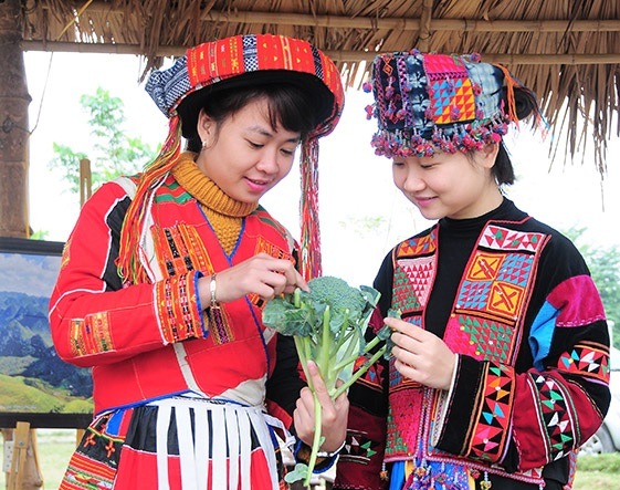45. Dân Tộc Lô Lô