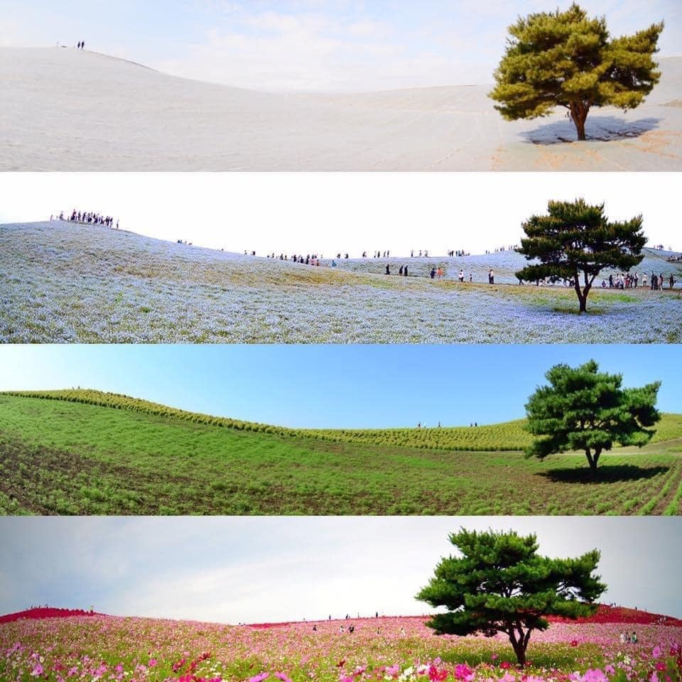 Tổng Quan
