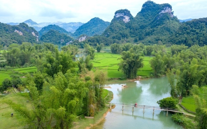 Tổng quan