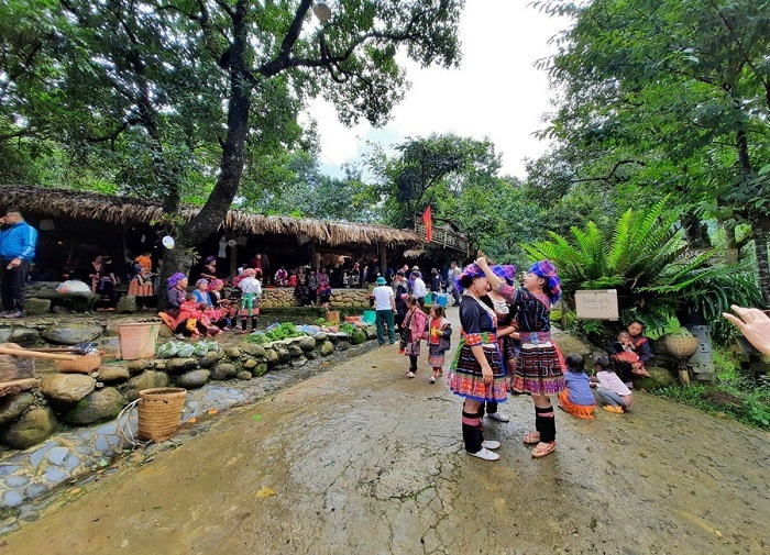 Tổng quan