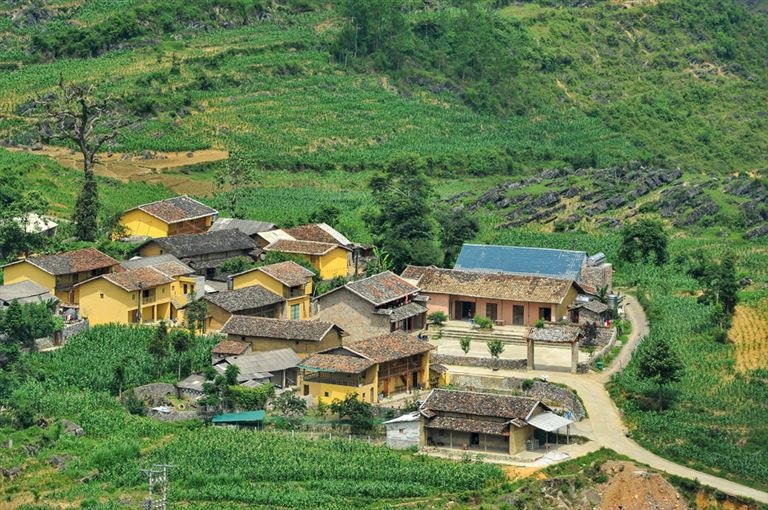 Tổng quan