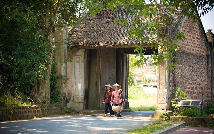 Tổng quan