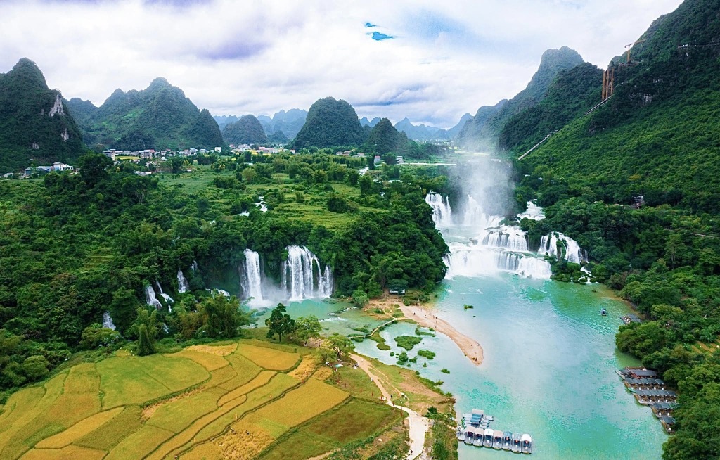 Tổng Quan